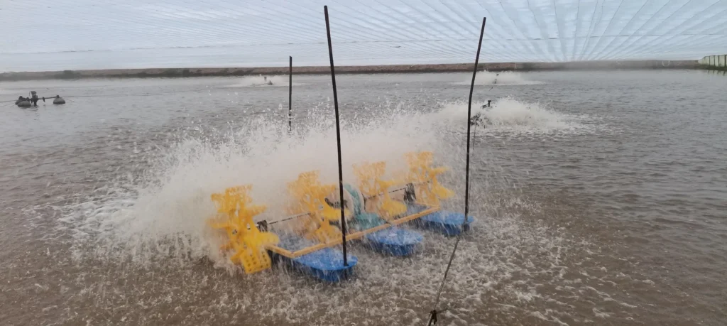 Home 7 Paddlewheel Aerators